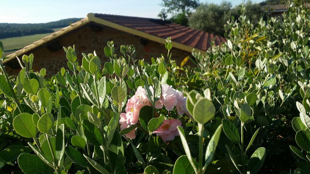 Вилла Agriturismo Il Cerrosughero Скарлино Экстерьер фото
